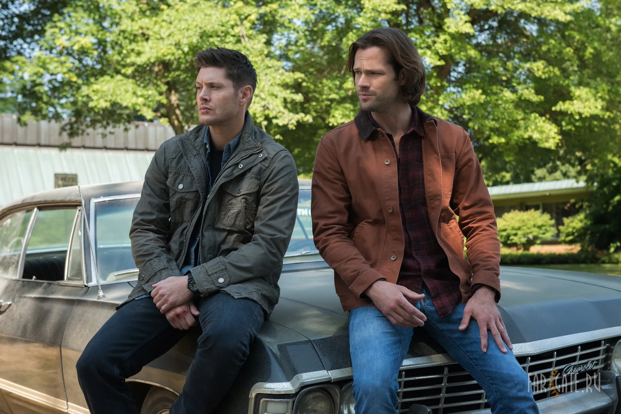 Прощайте братья!